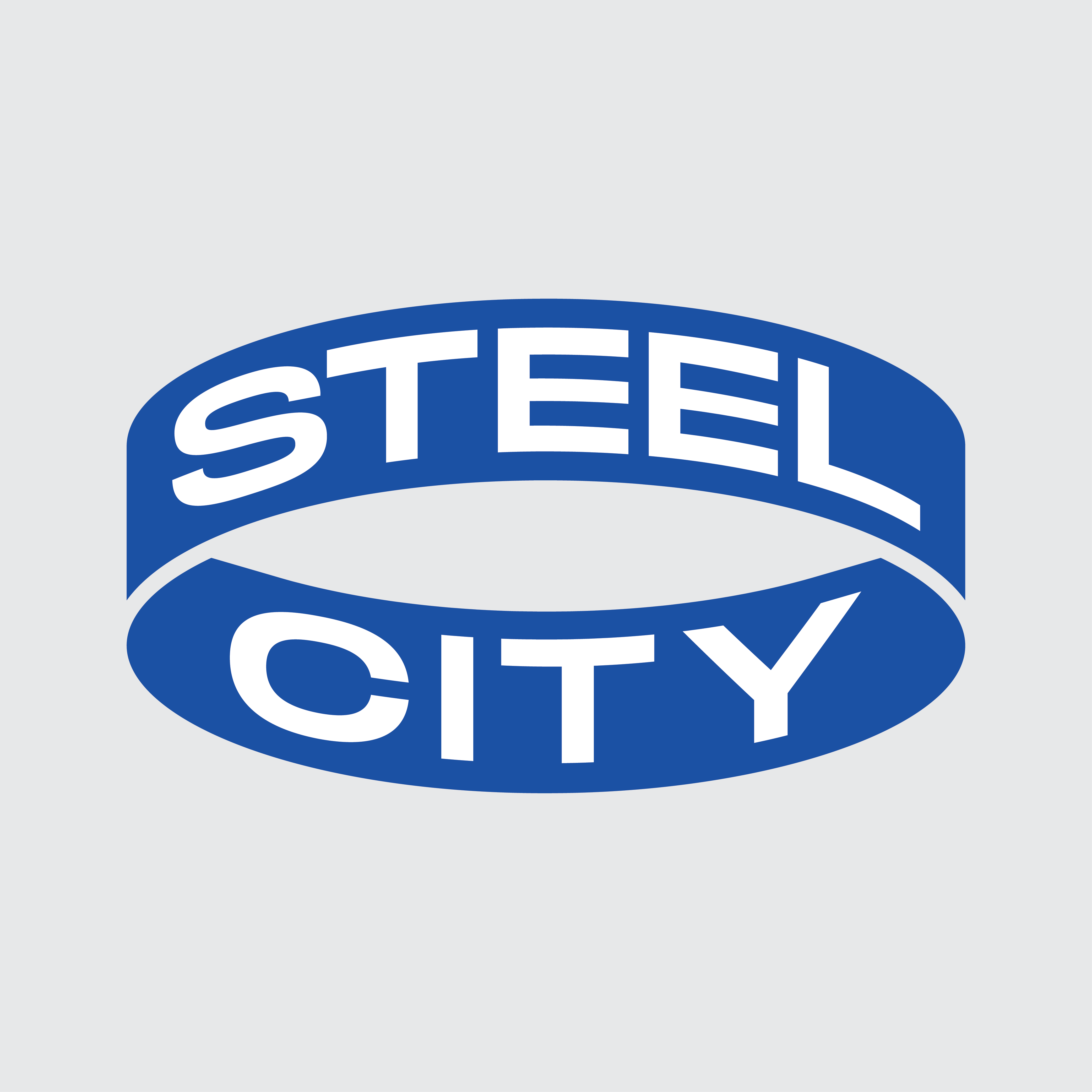 Steel City Beer Company